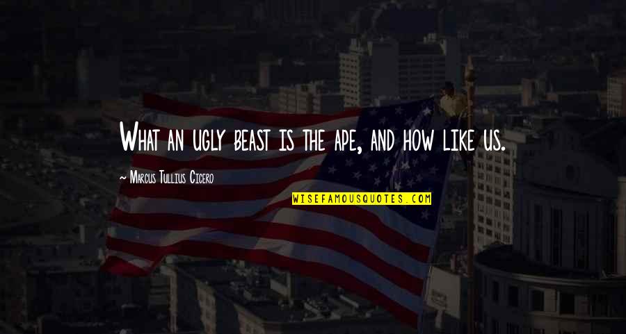 Life's Unexpected Pleasures Quotes By Marcus Tullius Cicero: What an ugly beast is the ape, and