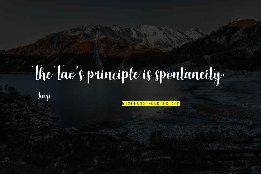 Lifes Vision Quotes By Laozi: The Tao's principle is spontaneity.