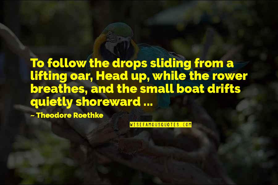 Lifting Your Head Up Quotes By Theodore Roethke: To follow the drops sliding from a lifting