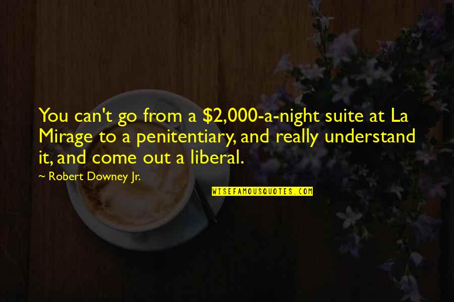 Ligature Quotes By Robert Downey Jr.: You can't go from a $2,000-a-night suite at