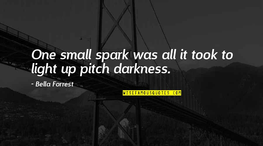 Light A Spark Quotes By Bella Forrest: One small spark was all it took to