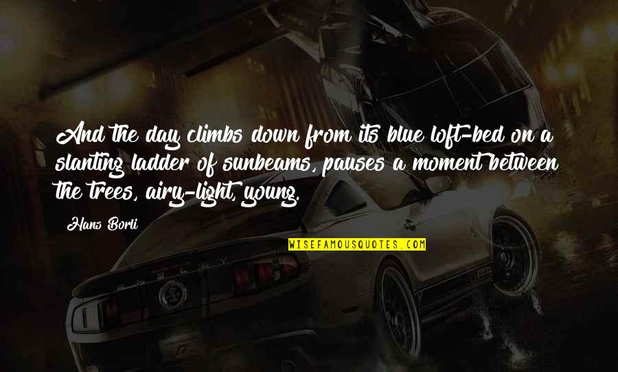 Light And Airy Quotes By Hans Borli: And the day climbs down from its blue