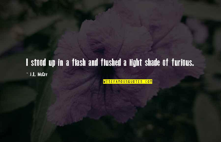 Light And Shade Quotes By J.L. McCoy: I stood up in a flash and flushed