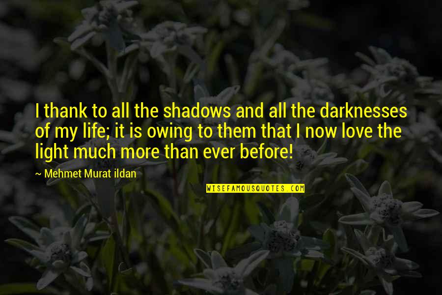 Light And Shadows Quotes By Mehmet Murat Ildan: I thank to all the shadows and all