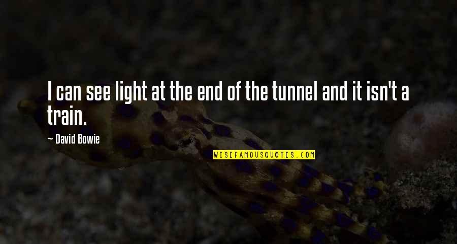 Light At End Of Tunnel Quotes By David Bowie: I can see light at the end of