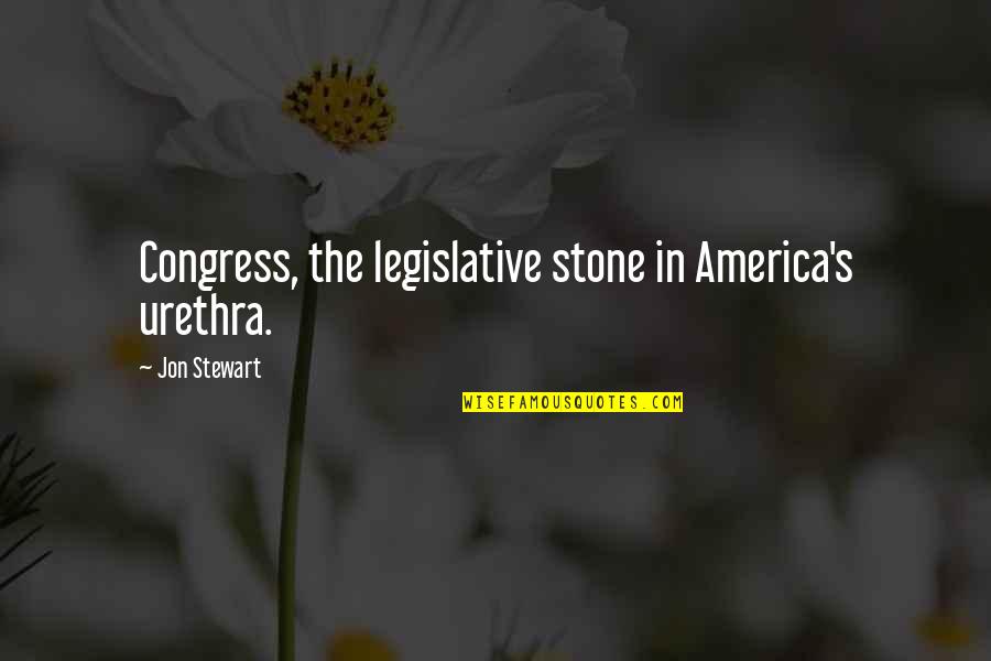 Light At The End Of The Tunnel Inspirational Quotes By Jon Stewart: Congress, the legislative stone in America's urethra.