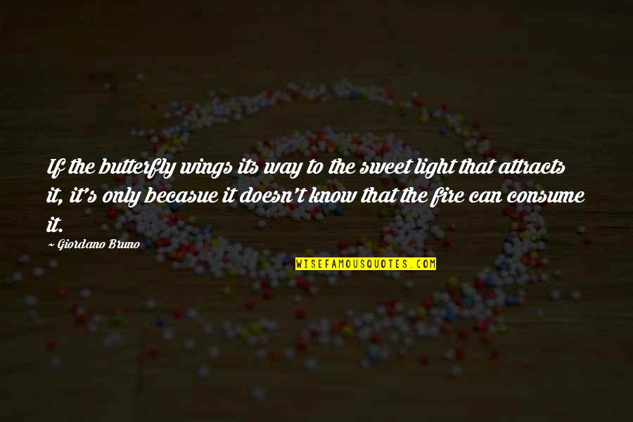 Light Attracts Quotes By Giordano Bruno: If the butterfly wings its way to the Light Attracts Quotes By Giordano Bruno: If the butterfly wings its way to the