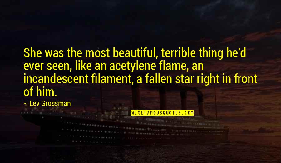 Light Flame Quotes By Lev Grossman: She was the most beautiful, terrible thing he'd