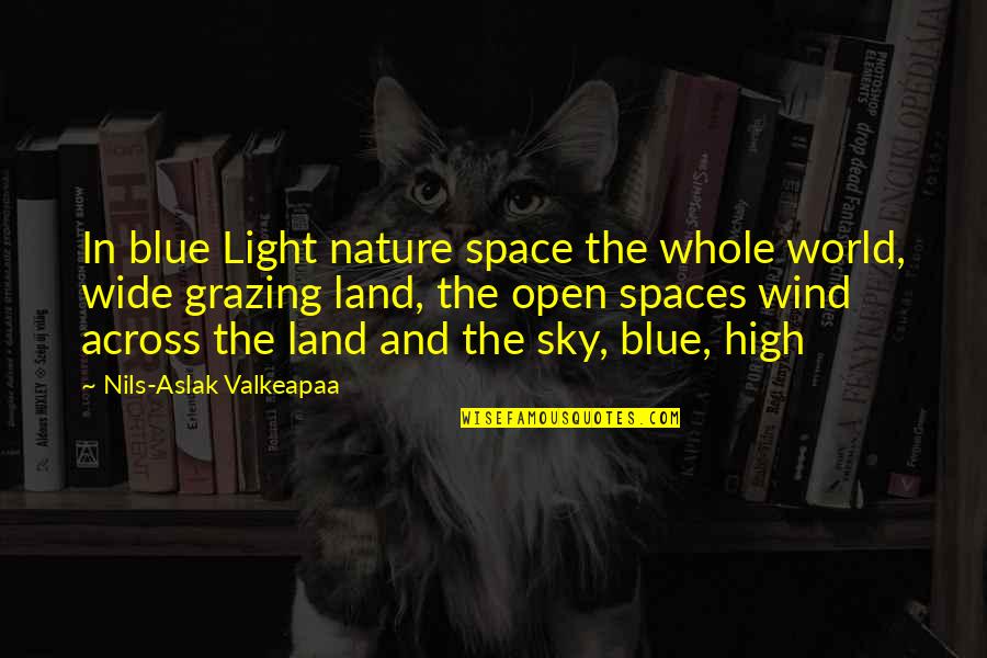 Light From The Sky Quotes By Nils-Aslak Valkeapaa: In blue Light nature space the whole world,