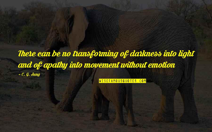 Light Into Darkness Quotes By C. G. Jung: There can be no transforming of darkness into