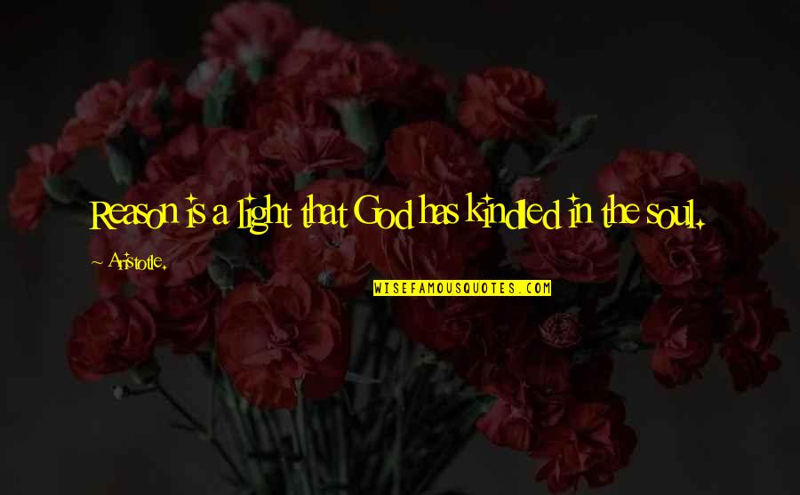 Light Of Your Soul Quotes By Aristotle.: Reason is a light that God has kindled Light Of Your Soul Quotes By Aristotle.: Reason is a light that God has kindled