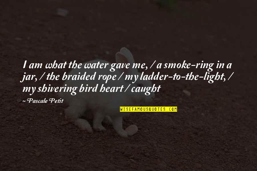 Light On Water Quotes By Pascale Petit: I am what the water gave me, /