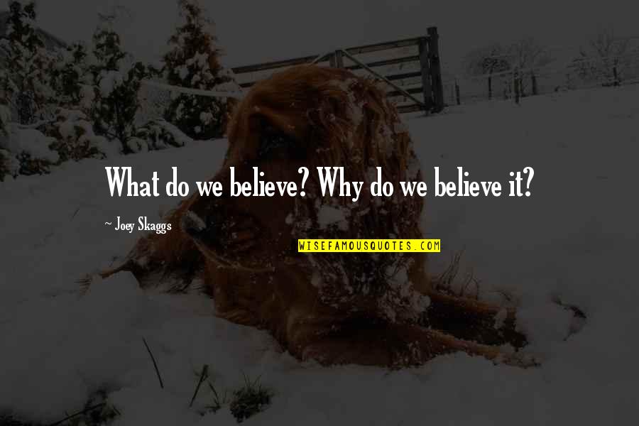 Light Tamer Quotes By Joey Skaggs: What do we believe? Why do we believe