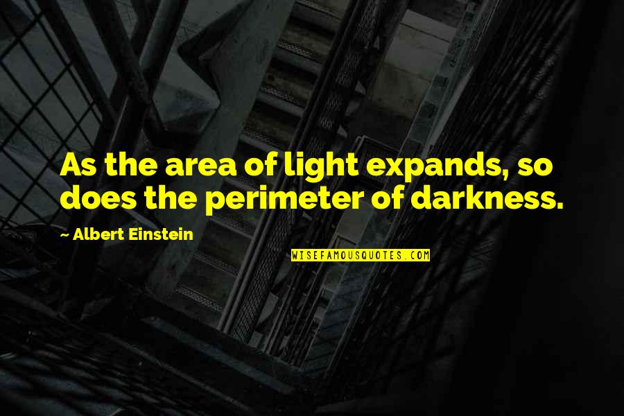 Light The Darkness Quotes By Albert Einstein: As the area of light expands, so does