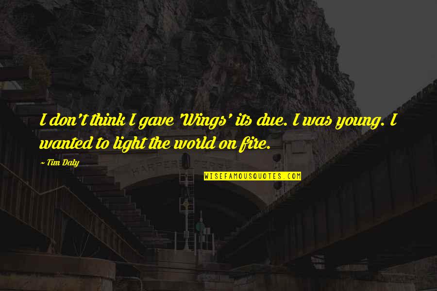 Light The Fire Quotes By Tim Daly: I don't think I gave 'Wings' its due.