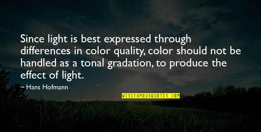 Light The Quotes By Hans Hofmann: Since light is best expressed through differences in