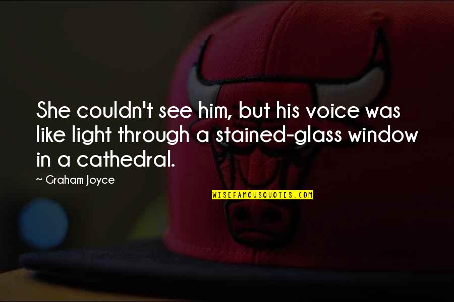 Light Through A Window Quotes By Graham Joyce: She couldn't see him, but his voice was