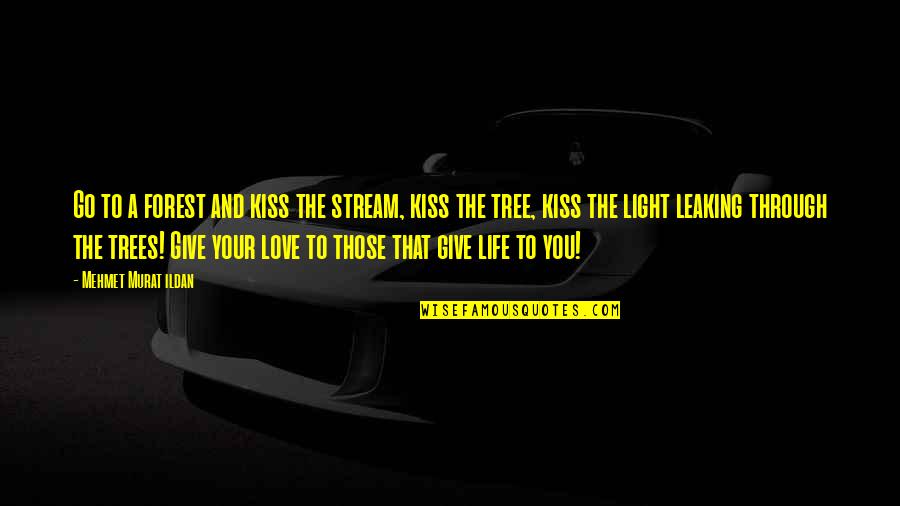 Light Through Life Quotes By Mehmet Murat Ildan: Go to a forest and kiss the stream, Light Through Life Quotes By Mehmet Murat Ildan: Go to a forest and kiss the stream,