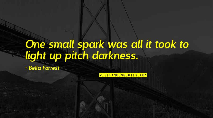 Light Up Darkness Quotes By Bella Forrest: One small spark was all it took to