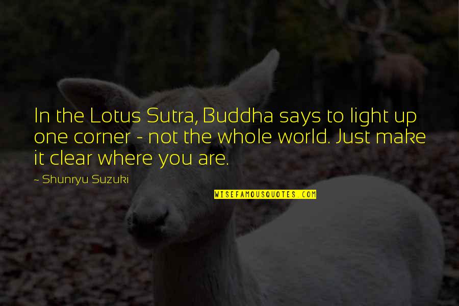 Light Up The World Quotes By Shunryu Suzuki: In the Lotus Sutra, Buddha says to light Light Up The World Quotes By Shunryu Suzuki: In the Lotus Sutra, Buddha says to light
