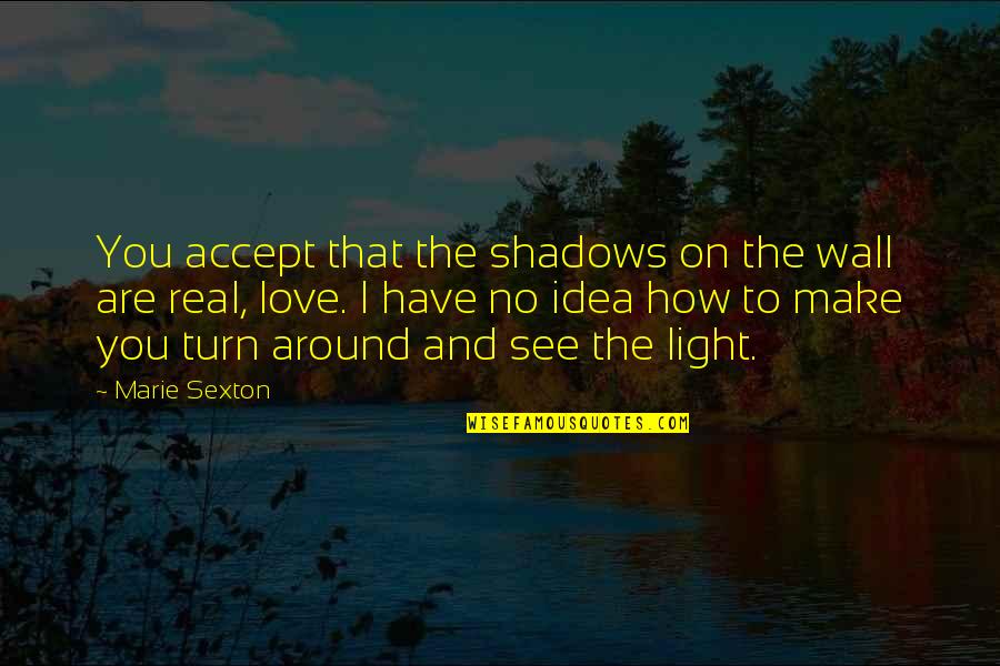 Light Up Wall Quotes By Marie Sexton: You accept that the shadows on the wall