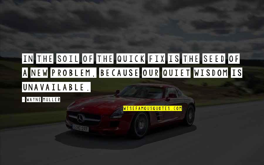Lightbearer Quotes By Wayne Muller: In the soil of the quick fix is Lightbearer Quotes By Wayne Muller: In the soil of the quick fix is
