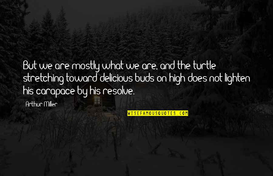 Lighten Quotes By Arthur Miller: But we are mostly what we are, and