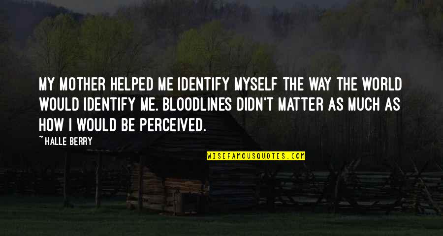 Lightening Bugs Quotes By Halle Berry: My mother helped me identify myself the way Lightening Bugs Quotes By Halle Berry: My mother helped me identify myself the way