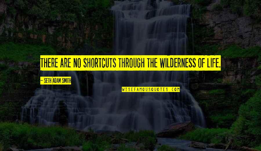 Lightens Quotes By Seth Adam Smith: There are no shortcuts through the wilderness of Lightens Quotes By Seth Adam Smith: There are no shortcuts through the wilderness of