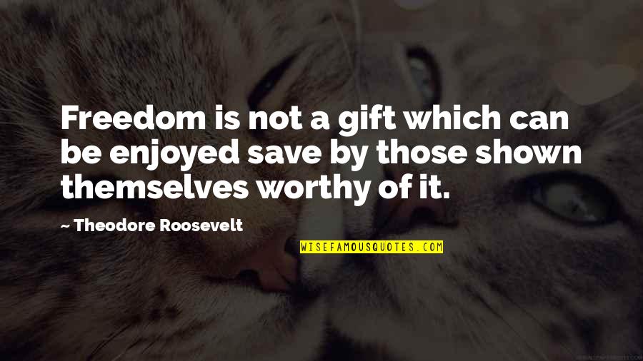 Lighthouse Motivational Quotes By Theodore Roosevelt: Freedom is not a gift which can be