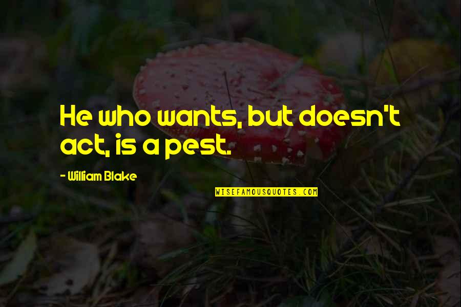 Lighting Designer Quotes By William Blake: He who wants, but doesn't act, is a Lighting Designer Quotes By William Blake: He who wants, but doesn't act, is a