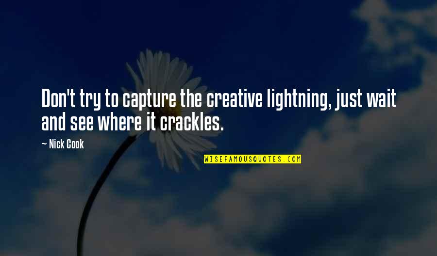 Lightning Quotes By Nick Cook: Don't try to capture the creative lightning, just