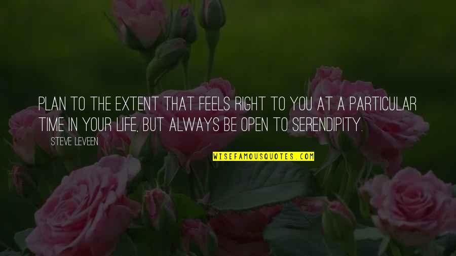 Lights Funny Quotes By Steve Leveen: Plan to the extent that feels right to Lights Funny Quotes By Steve Leveen: Plan to the extent that feels right to