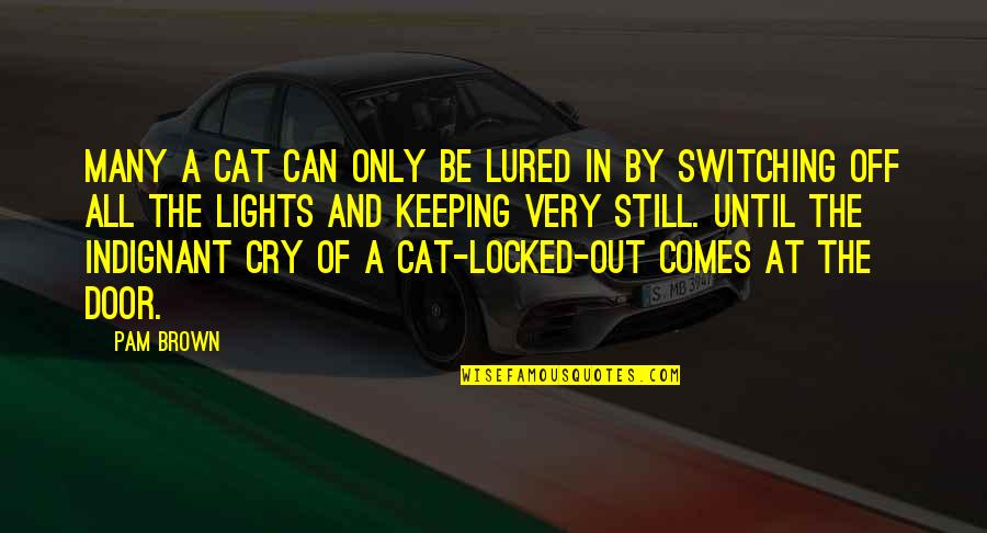 Lights Out Quotes By Pam Brown: Many a cat can only be lured in