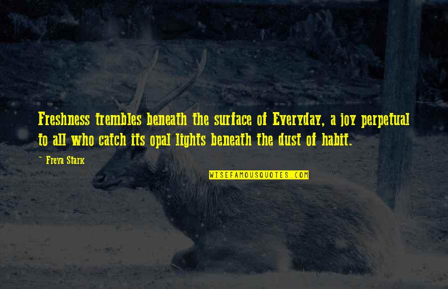 Lights Quotes By Freya Stark: Freshness trembles beneath the surface of Everyday, a Lights Quotes By Freya Stark: Freshness trembles beneath the surface of Everyday, a