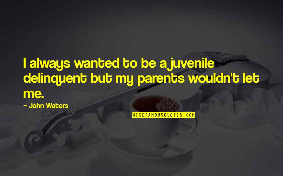 Lights Will Guide You Home Quotes By John Waters: I always wanted to be a juvenile delinquent