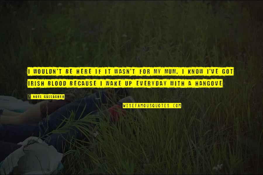 Lightweight Concrete Quotes By Noel Gallagher: I wouldn't be here if it wasn't for Lightweight Concrete Quotes By Noel Gallagher: I wouldn't be here if it wasn't for