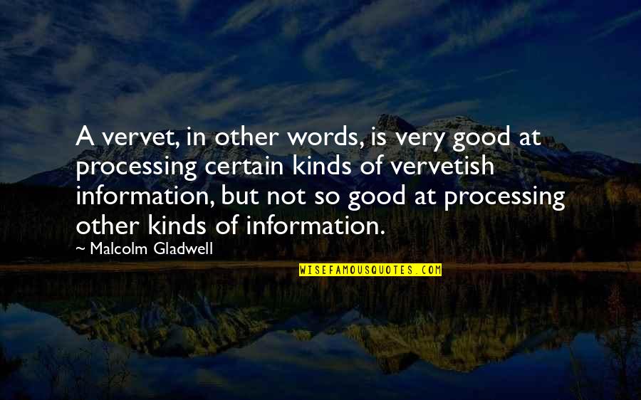 Lignieresii Quotes By Malcolm Gladwell: A vervet, in other words, is very good Lignieresii Quotes By Malcolm Gladwell: A vervet, in other words, is very good