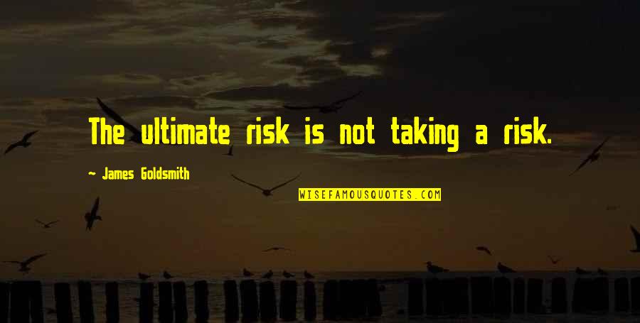 Liian Alhainen Quotes By James Goldsmith: The ultimate risk is not taking a risk.