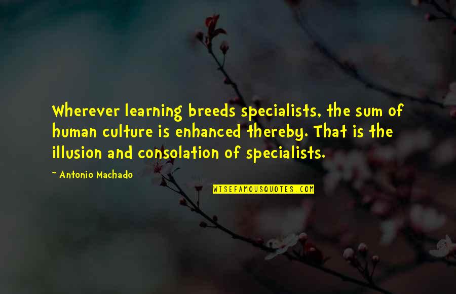 Lijuan Hu Quotes By Antonio Machado: Wherever learning breeds specialists, the sum of human