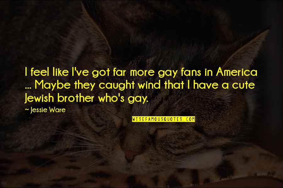 Like A Brother Quotes By Jessie Ware: I feel like I've got far more gay