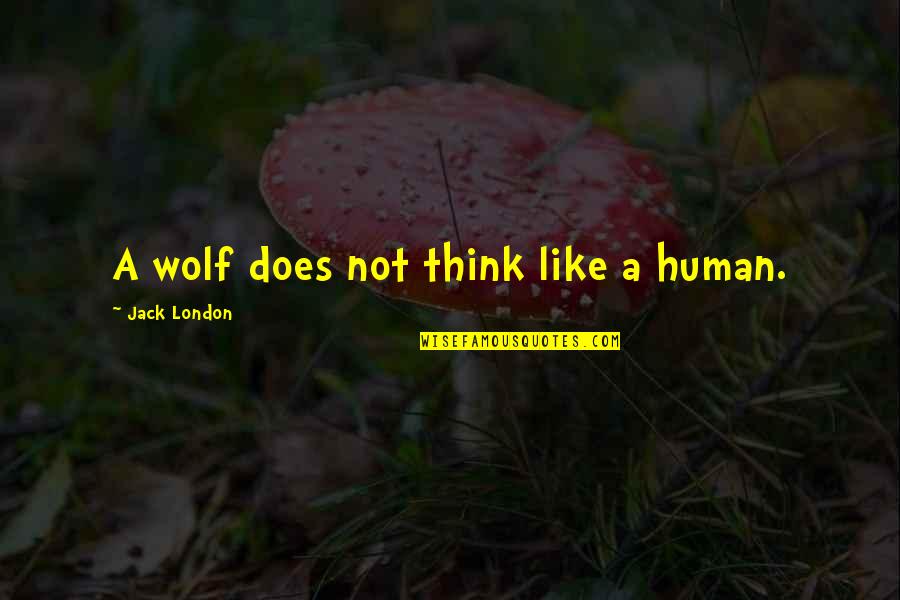 Like A Wolf Quotes By Jack London: A wolf does not think like a human.