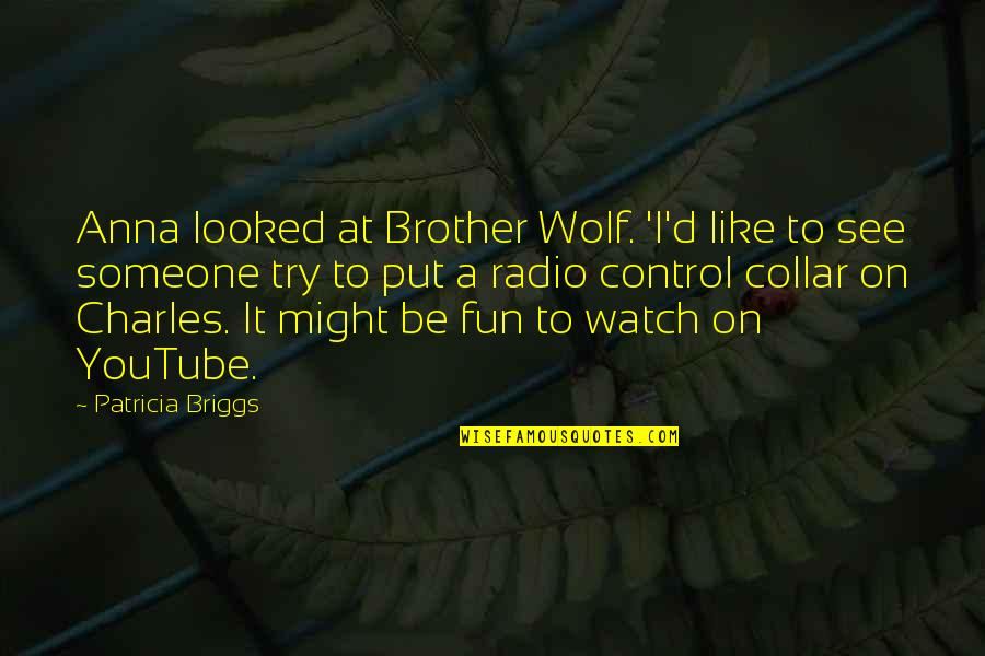 Like A Wolf Quotes By Patricia Briggs: Anna looked at Brother Wolf. 'I'd like to