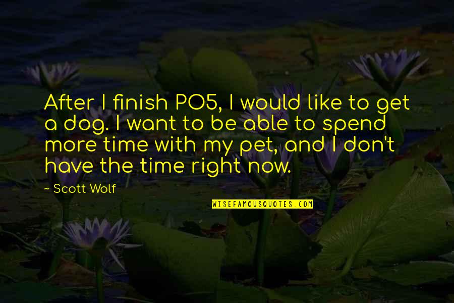 Like A Wolf Quotes By Scott Wolf: After I finish PO5, I would like to