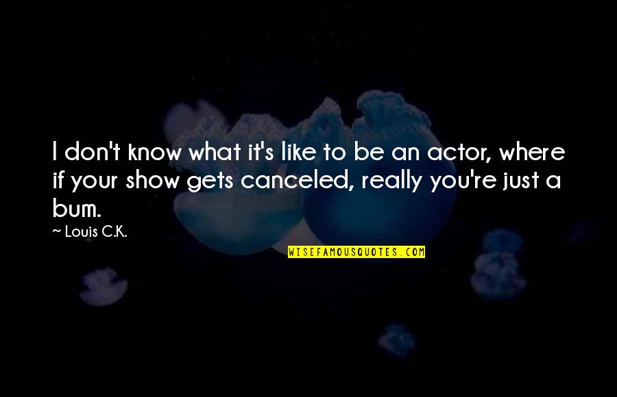 Like An Actor Quotes By Louis C.K.: I don't know what it's like to be