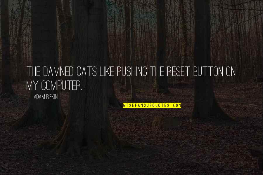 Like Button Quotes By Adam Rifkin: The damned cats like pushing the reset button