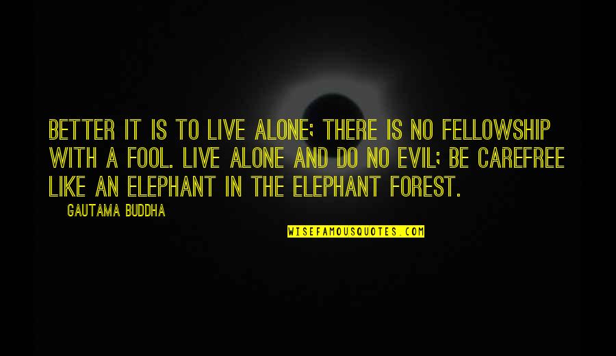 Like Elephant Quotes By Gautama Buddha: Better it is to live alone; there is
