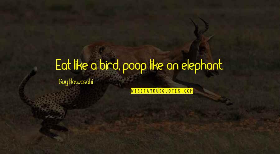 Like Elephant Quotes By Guy Kawasaki: Eat like a bird, poop like an elephant.