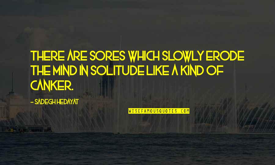 Like Flowers To A Bee Quotes By Sadegh Hedayat: There are sores which slowly erode the mind