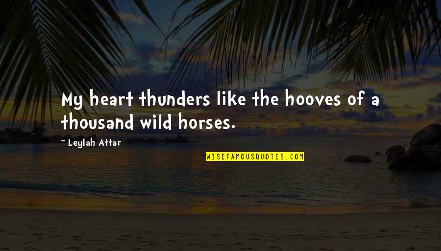 Like Horses Quotes By Leylah Attar: My heart thunders like the hooves of a